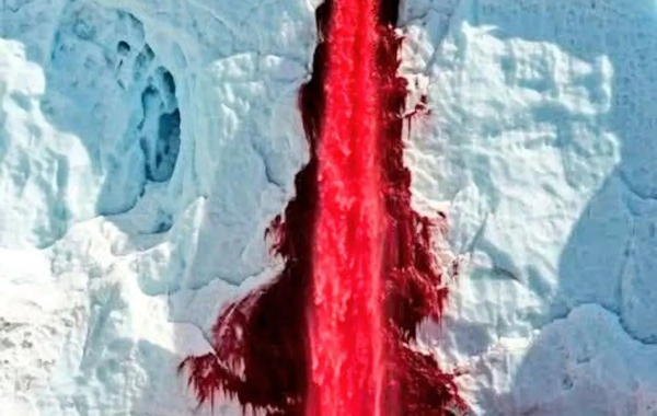 راز آبشار خون در جنوبگان، چرا یخ خون می‌ریزد؟