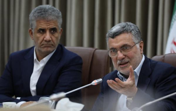 اعلام وزیر بهداشت از اجرای«طرح امید مادر» 