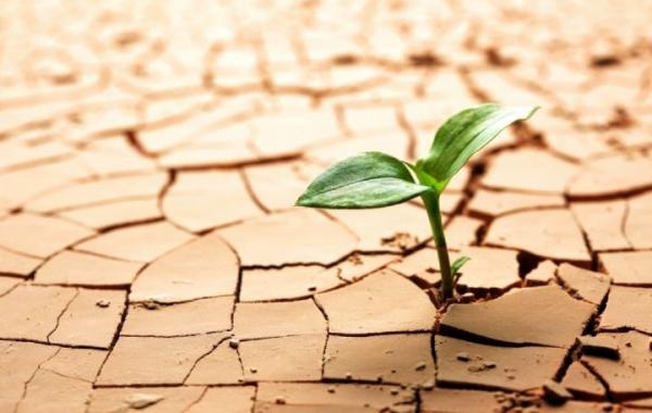 عبور از بحران خشکسالی با تغییر رویکرد سنتی