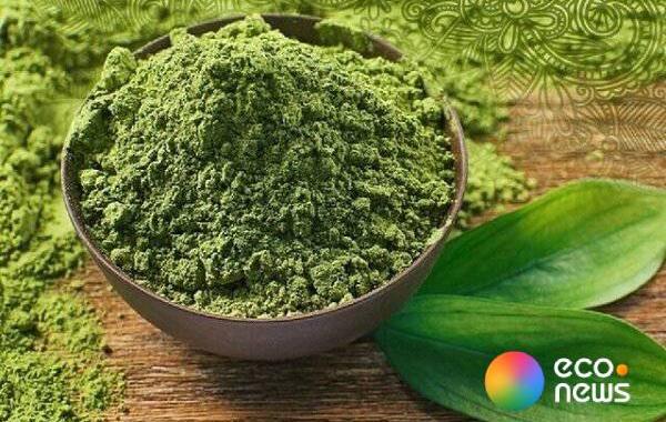 کارگاه حناسایی دلگان؛ پیوند سنت و اشتغال