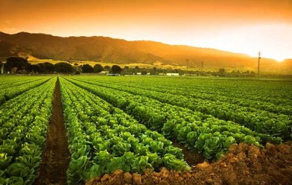 عبور ازشرایط اقلیمی با اجرای اقدامات فنی و مدیریتی