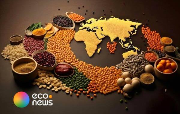 نشست سازمان امنیت غذایی کشورهای اسلامی