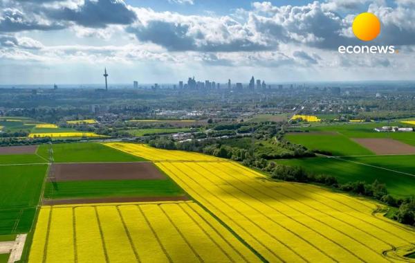  برنامه کشت فراسرزمینی ایران در روسیه، کنیا و تانزانیا