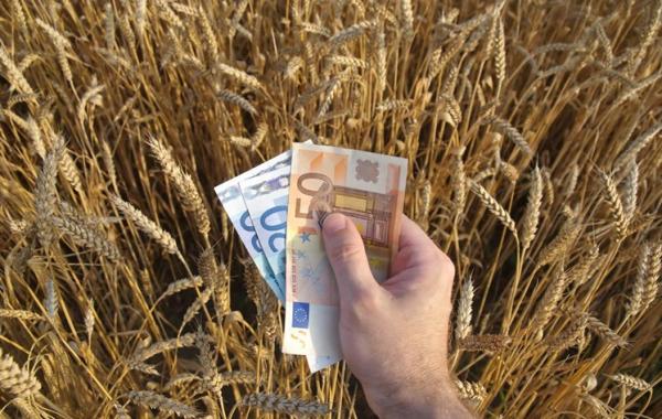 تخصیص ارز ترجیحی به کالا‌های اساسی ادامه می‌یابد