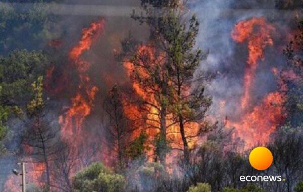 عامل انسانی در وقوع آتش‌سوزی‌ها قطعی است