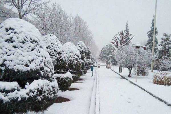 میزان بارش در گلپایگان در سال جاری