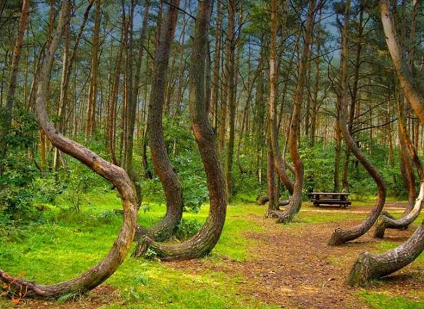 سالانه یک میلیون هکتار بیابان زایی داریم