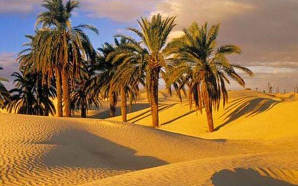 بیابا‌ن‌زدایی به گرد بیابان‌زایی در خراسان جنوبی نمی‌رسد