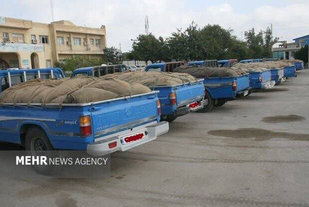 زمین گیر شدن ۴۳ خودرو شوتی در هرمزگان