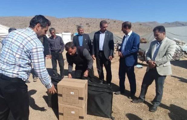 تلاش برای توسعه زیرساخت‌های مناطق عشایری فارس/ پنل‌های خورشیدی توزیع می‌شود