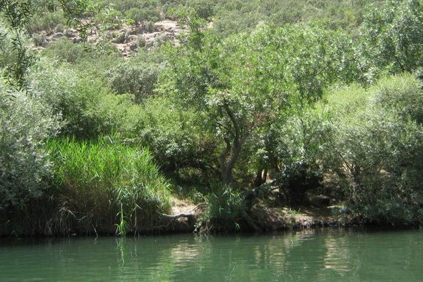 بستر رودخانه «کاکارضا» از تصرف افراد سودجو آزادسازی می‌شود