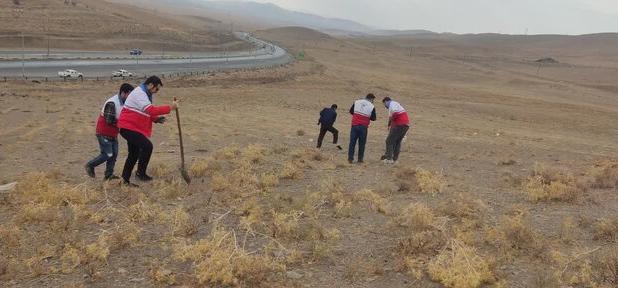 کشت بادامک و ارژن در ۲۰ هکتار از گردنه زاغه ملایر