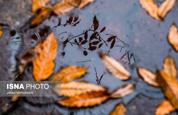 هوای قم بارانی می‌شود