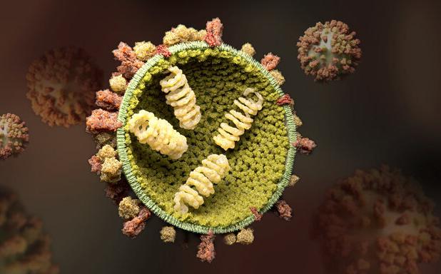 افزایش ابتلای آنفلوآنزا در کودکان/ ضرورت همراهی خانواده‌ها در تعطیلی مدارس