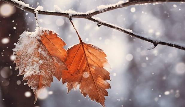 شروع بارش‌ها از اواخر هفته جاری در همدان