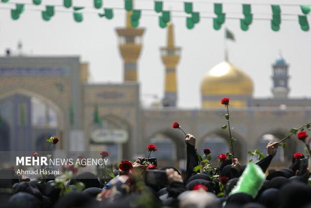 بزرگترین جشن خانوادگی امام رضایی‌ها در مشهد آغاز شد