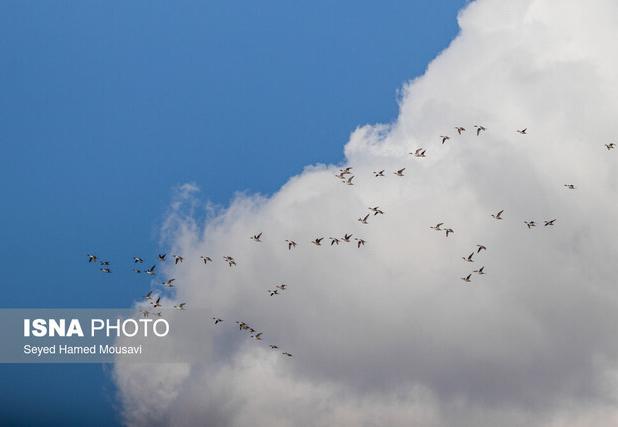 تنفس هوای «پاک» در ۷ شهر خوزستان