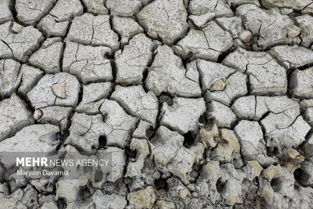 محیط زیست: تالاب بندعلیخان به خشکی مطلق رسید