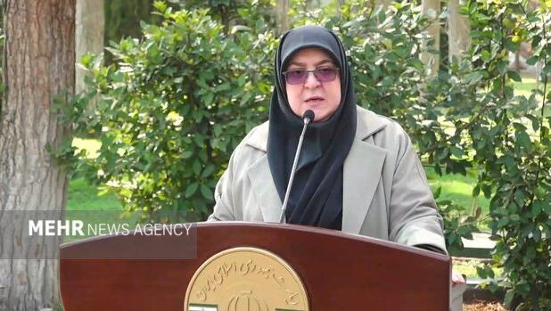 مهاجرانی: تلاش می کنیم شاهد قطعی گاز در زمستان نباشیم