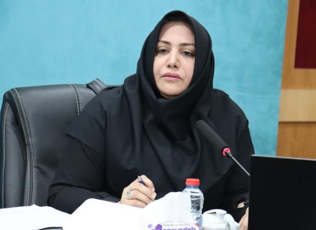 اسکندری: مناسب‌سازی ۶۶ دستگاه اجرایی استان بوشهر ارزیابی شد