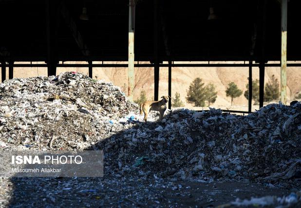 چالش‌ها و فرصت‌های مدیریت پسماند در همدان