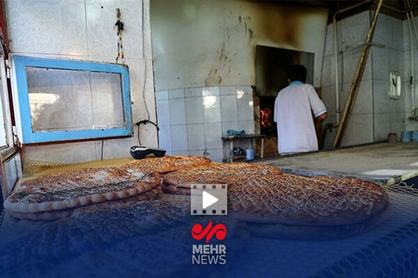 وزیر دادگستری: دولت برای کارت اعتباری خرید نان برنامه ای ندارد