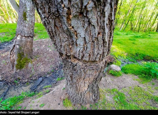 حفاظت از سرمایه های ملی با توسعه استفاده از صنعت بازیافت