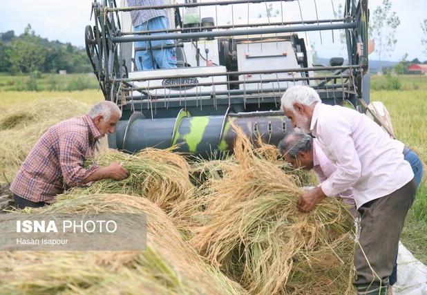اختصاص ۱۸۸ میلیارد تومان تسهیلات مکانیزاسیون به کشاورزان یزدی