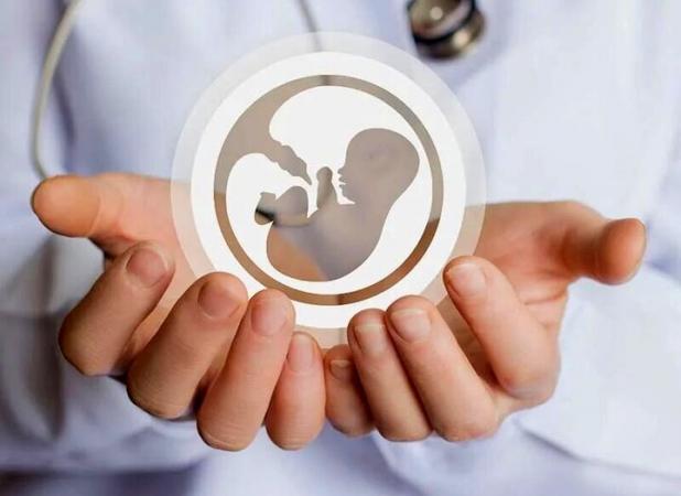 لایحه‌ای برای ضابطه‌مند کردن اهدای تخمک