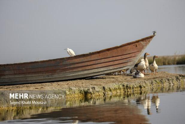راه‌اندازی مرکز پایش ماهواره‌ای برای رصد تالاب‌ها در خوزستان
