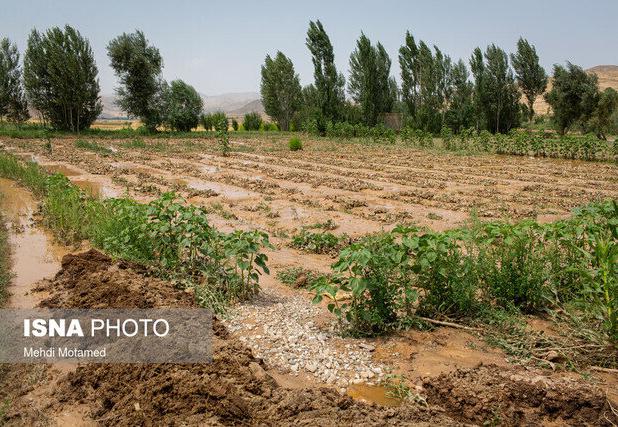 برآورد خسارت ۴۷۵۰ میلیاردی سیل به کشاورزی سیستان و بلوچستان