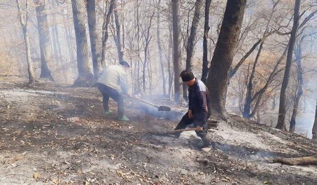 مهار حداکثری آتش‌سوزی در جنگل‌های گونیلی شهرستان کلاله