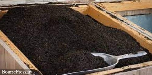 معرفی متخلفین تخلف عجیب واردات چای به دستگاه های قضایی