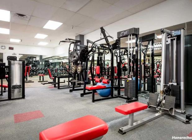 افزایش تخلفات بیمه‌ای در مراکز زیبایی و باشگاه‌های ورزشی؛ بازرسان باید هوشیار باشند