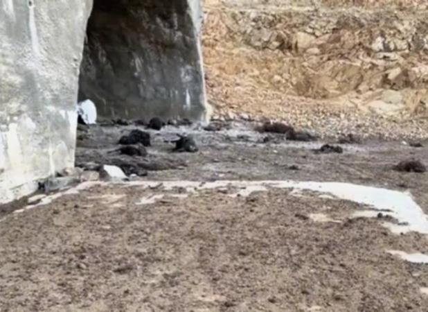 تجاوز کور رژیم صهیونسیتی به آغل احشام در اسکو
