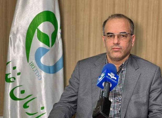 سرنوشت قیمت دارو با حذف ارز ترجیحی چه میشود؟