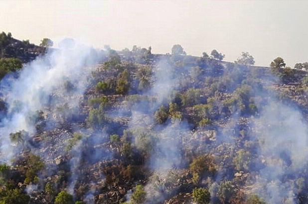 شناسایی ۹ نفر از عاملین آتش‌سوزی جنگل‌ها و مراتع اسلام آباد غرب