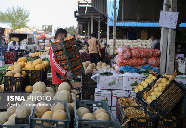 عرضه میوه شب یلدا در ۹ غرفه در سطح شهر مشهد