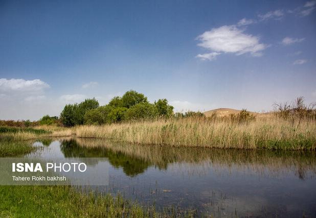 آبگیری دوباره تالاب کانی‌برازان مهاباد