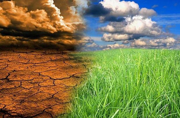 تغییرات اقلیمی چالش فراروی کشاورزی مازندران است
