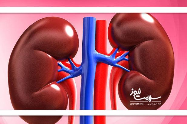 ماء‌الشعیر و کلیه‌ها؛ باور نادرستی که سلامت را تهدید می‌کند