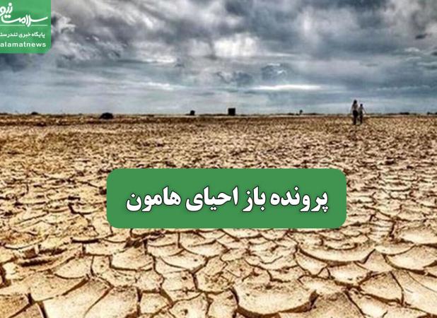 پرونده باز احیای هامون