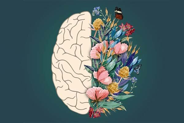 سلامت روان، سنگ‌بنای آرامش در جامعه دانشگاهی است