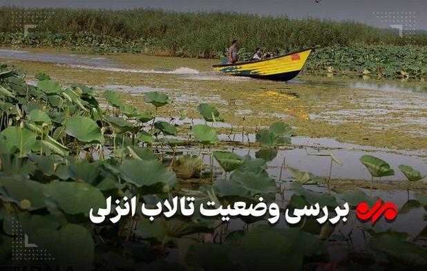 پهنه آبی گیلان در انتظار اعتبار؛ تالاب انزلی از «مونترو» خارج می‌شود!
