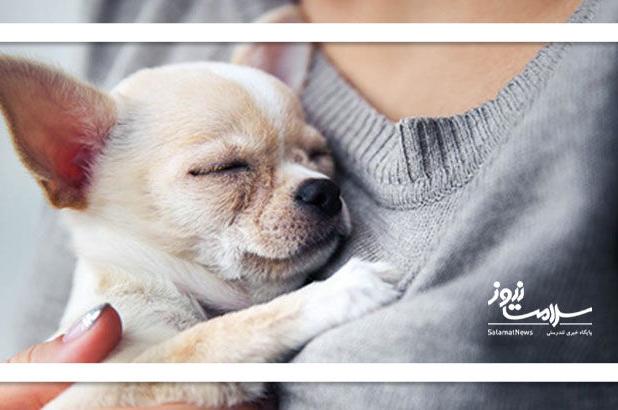 حیوان خانگی درمانگر خلاء عاطفی یا مخرب سلامت روان؟