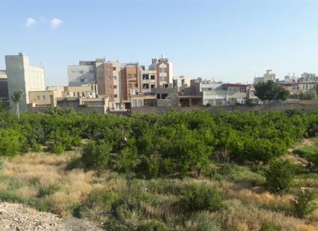 مصرف متعادل کودهای شیمیایی یارانه ای در قم