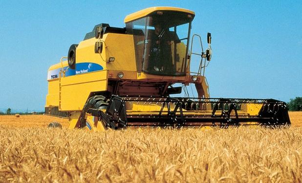 تولید 5 هزار کیلوگرم بذر پرورشی ارقام جدید غلات دیم