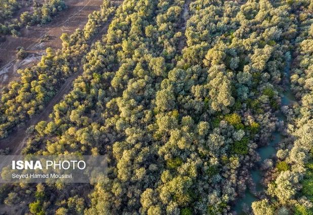 اراضی تصرف‌شده منطقه «دز» به طبیعت بازمی‌گردد