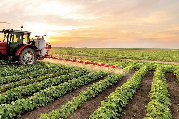 تولید سالانه ۴.۵ میلیون تن محصولات کشاورزی در استان اردبیل