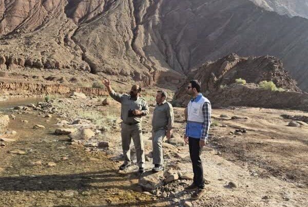 آغاز گشت و پایش پیشگیری از آنفلوانزای فوق حاد پرندگان در گرمسار